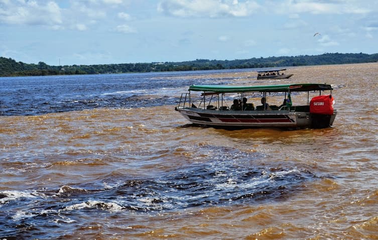 Amazonie BR