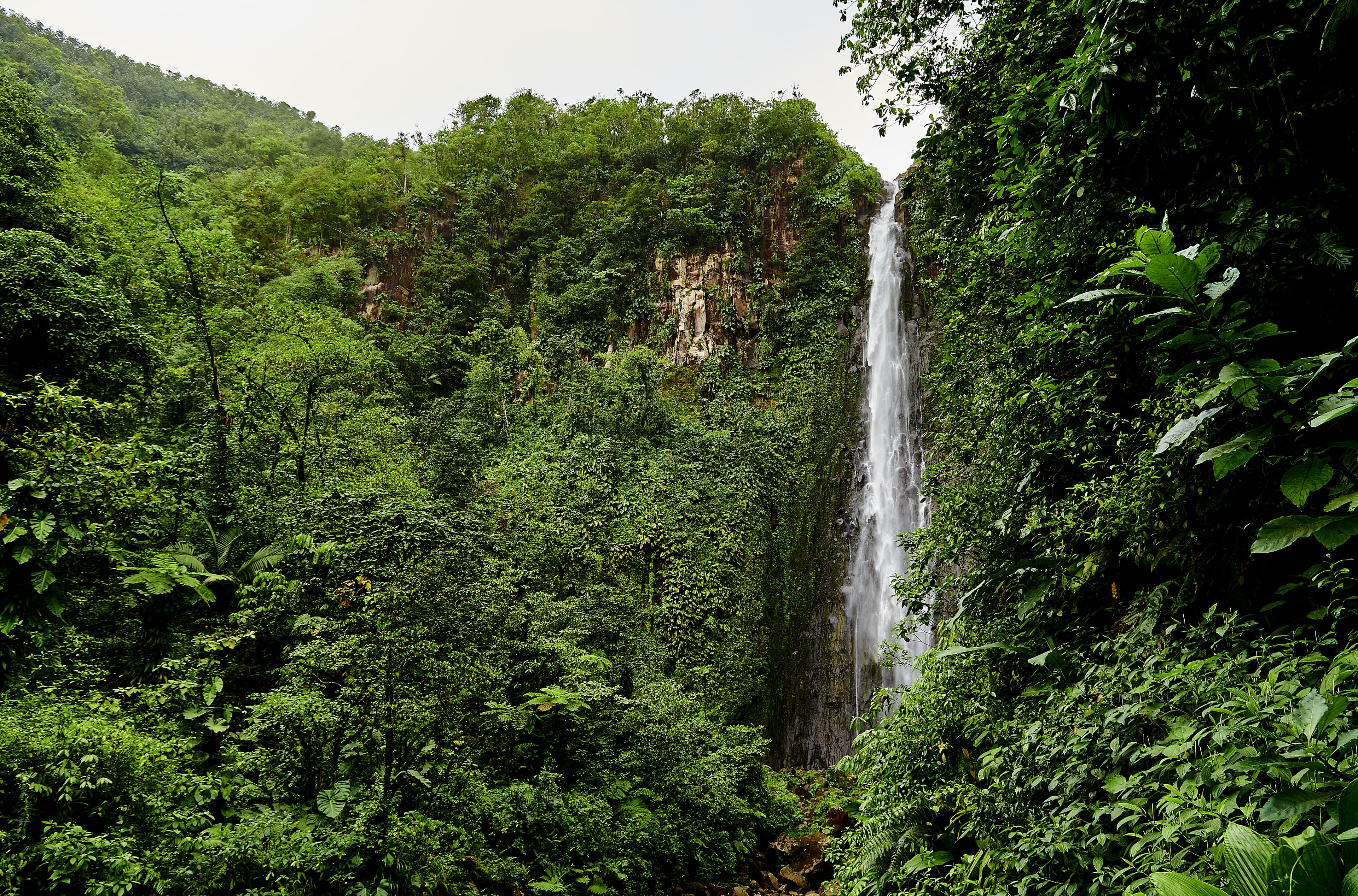Basse-Terre