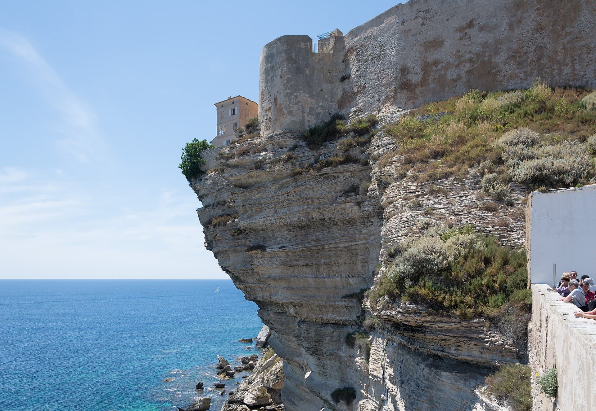 Bonifacio
