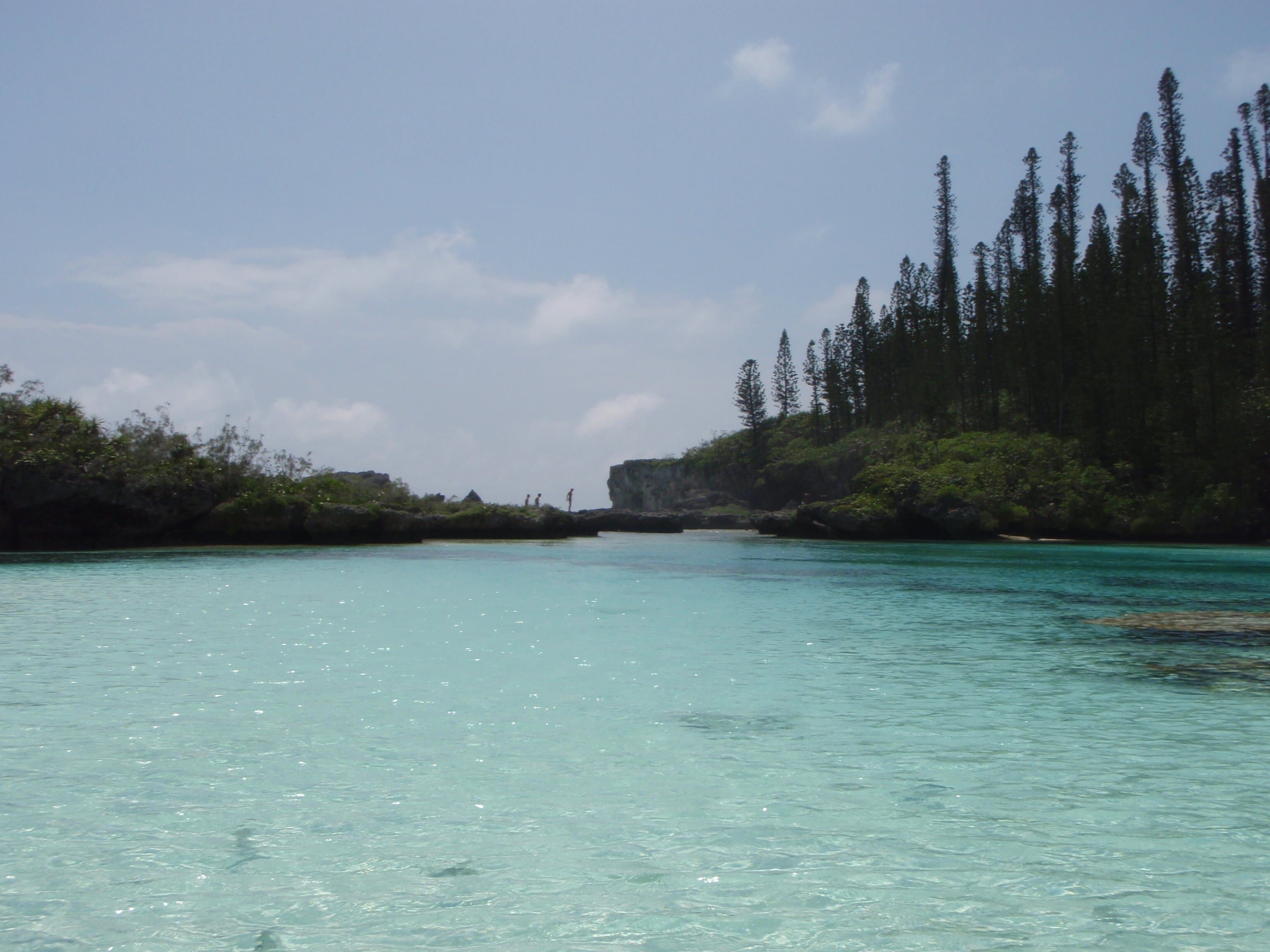 Isle of Pines