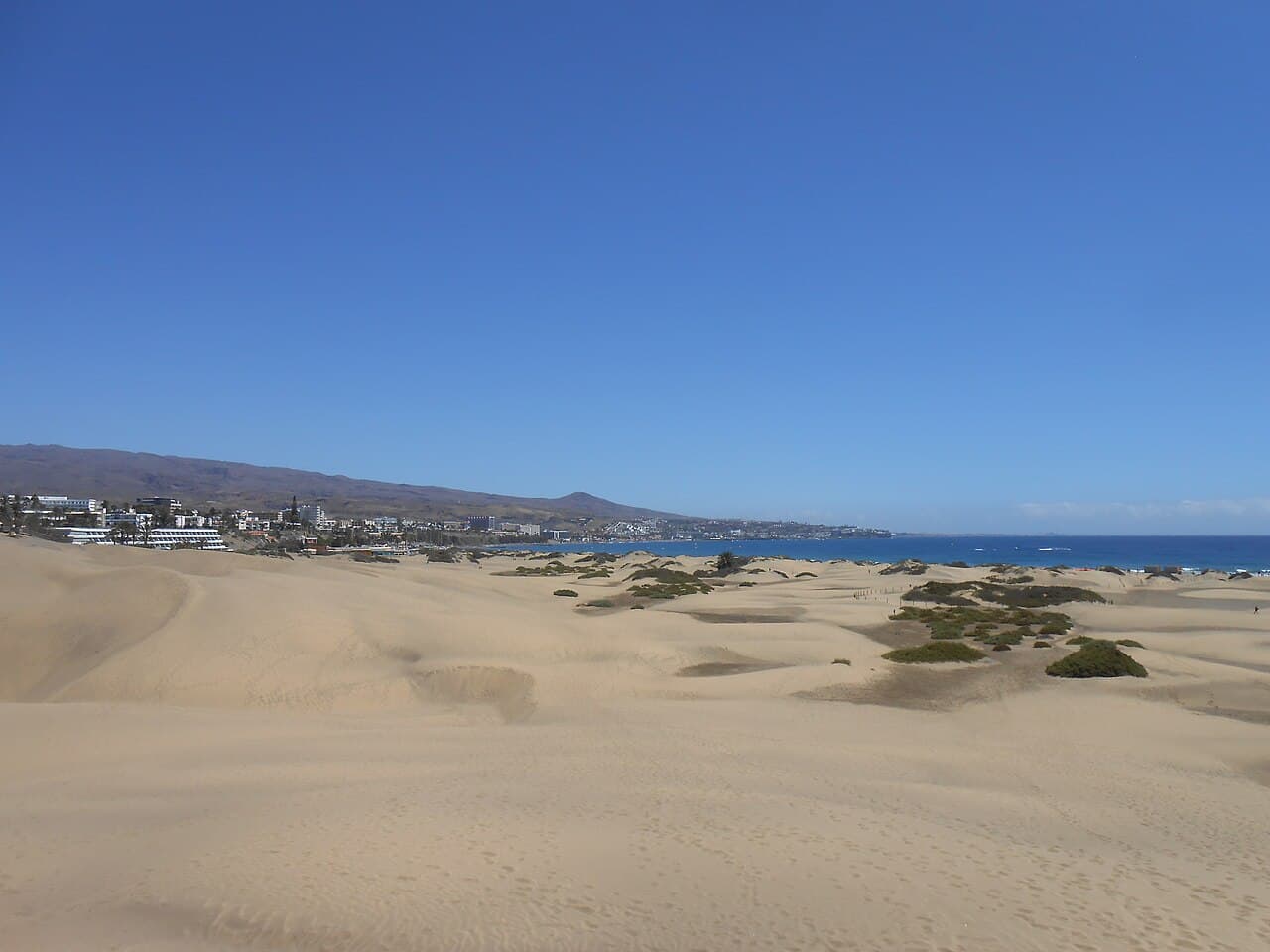 Canary Islands