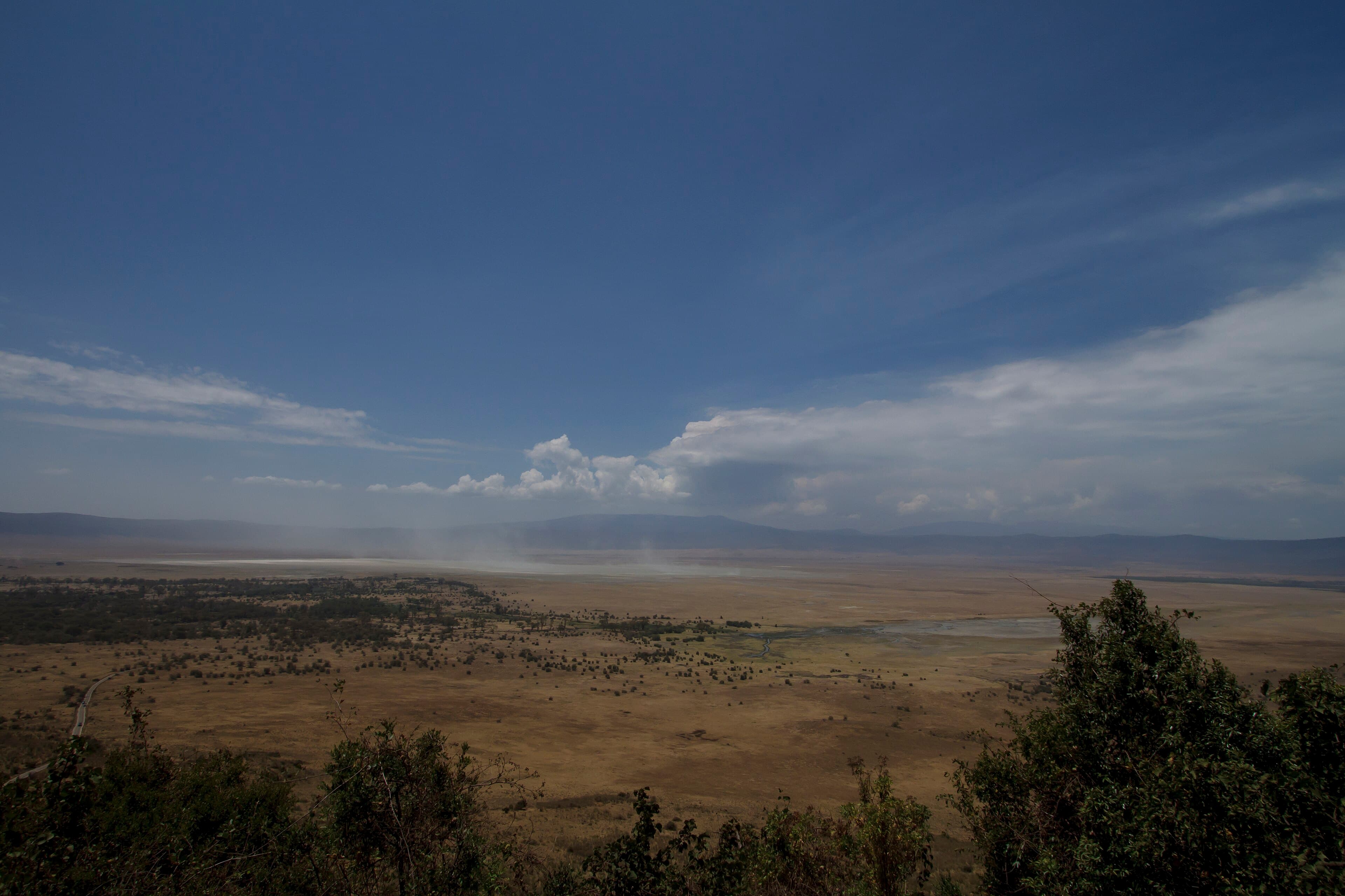 Ngorongoro