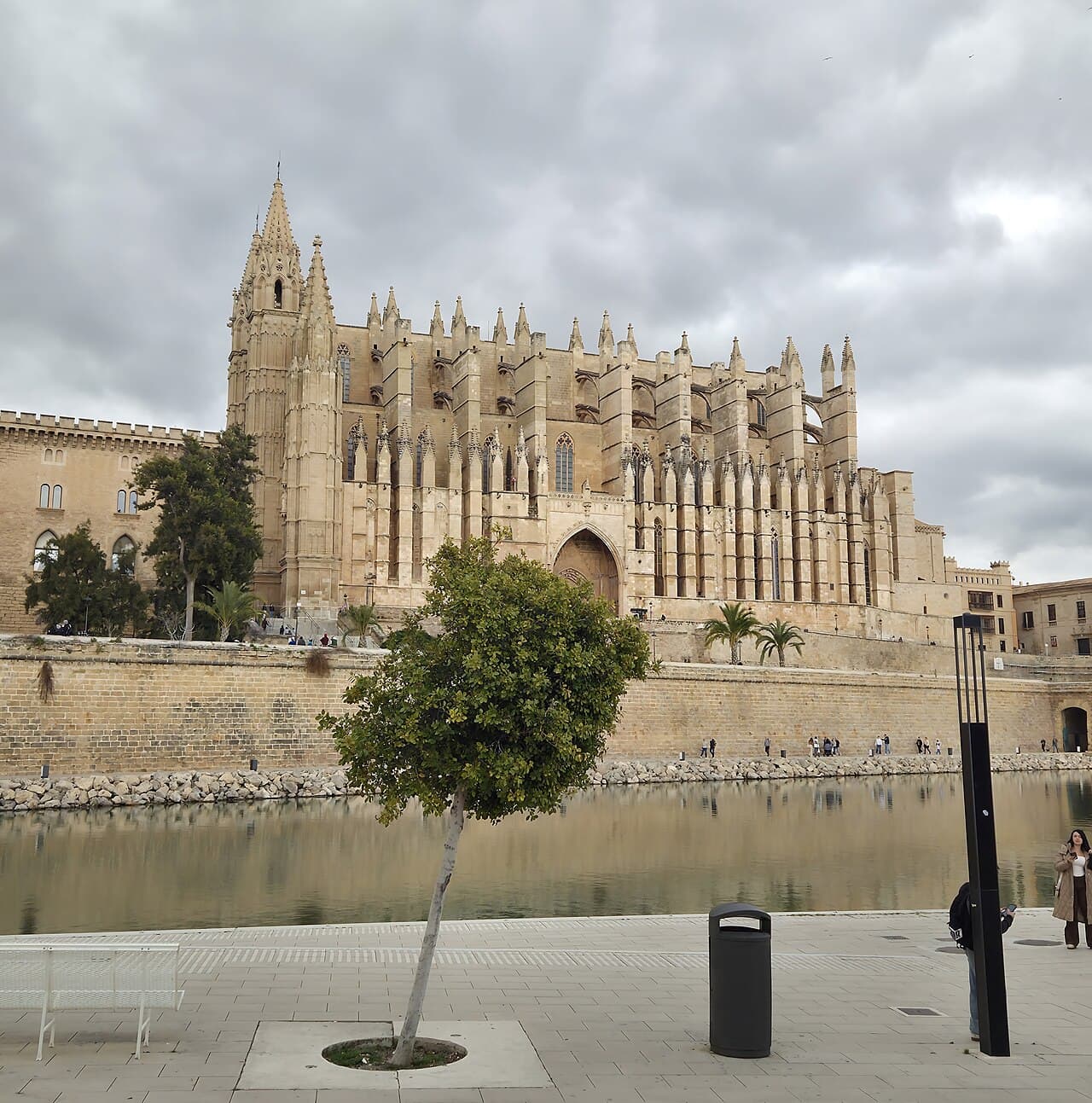 Palma