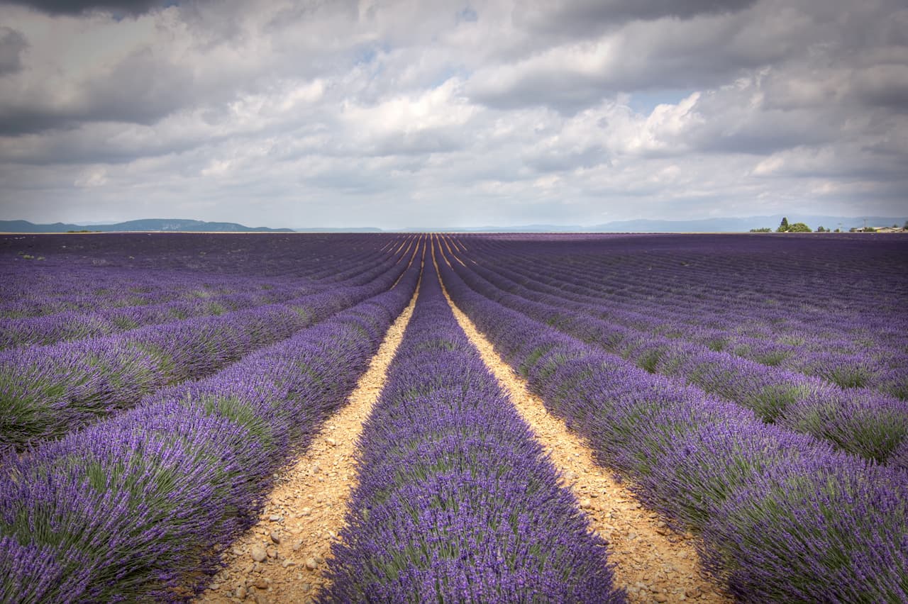 Provence