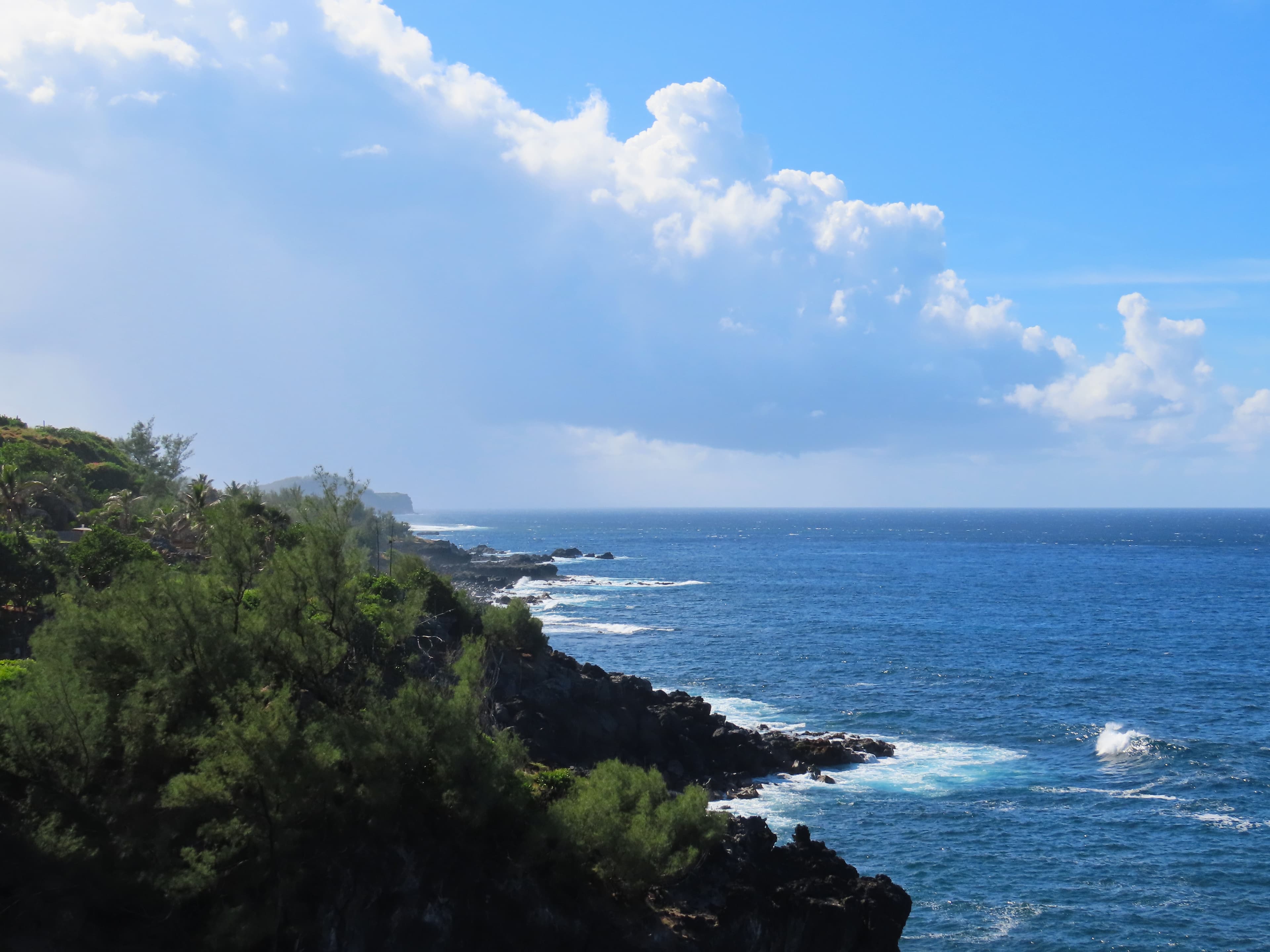 Sud sauvage